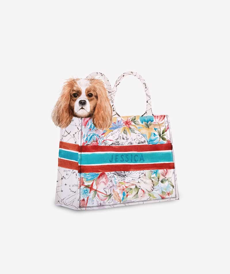 Dog-in-bag-Dior_small